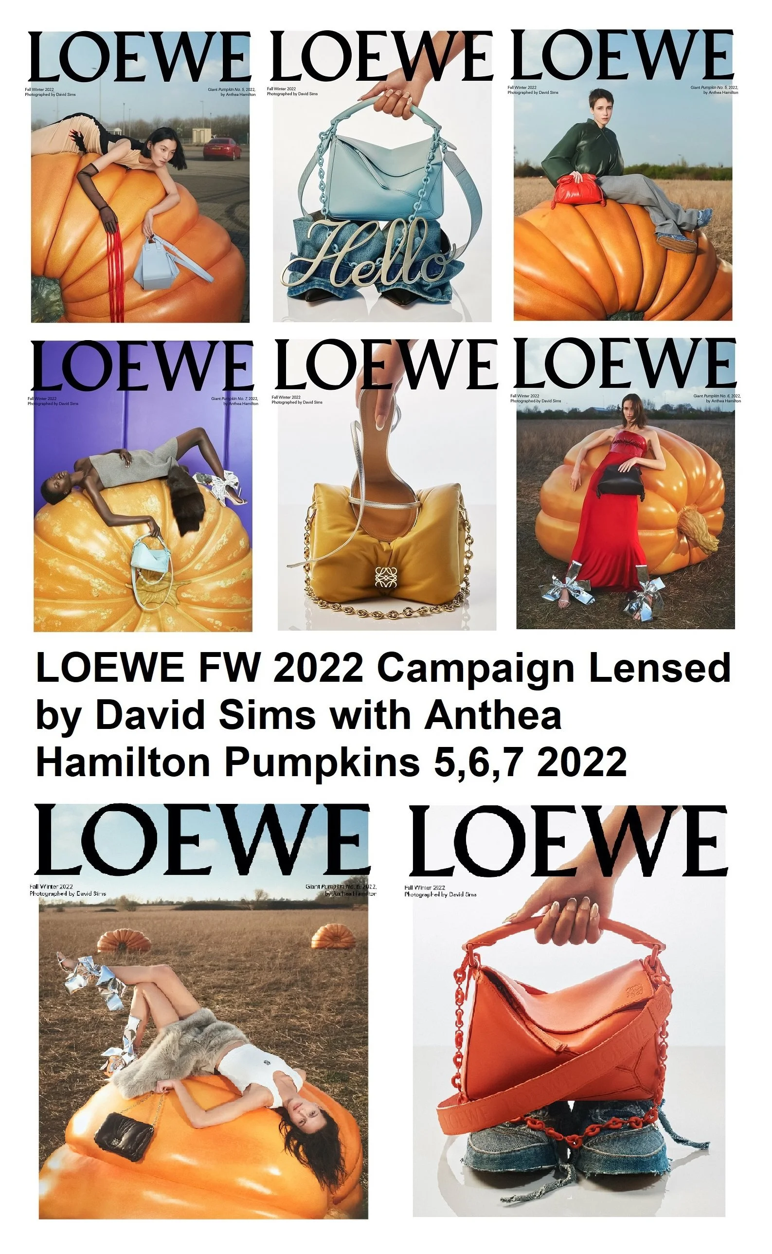 David Sims Eyes LOEWE FW 2022 Campaign with Anthea Hamilton